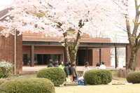 0421 021.jpg